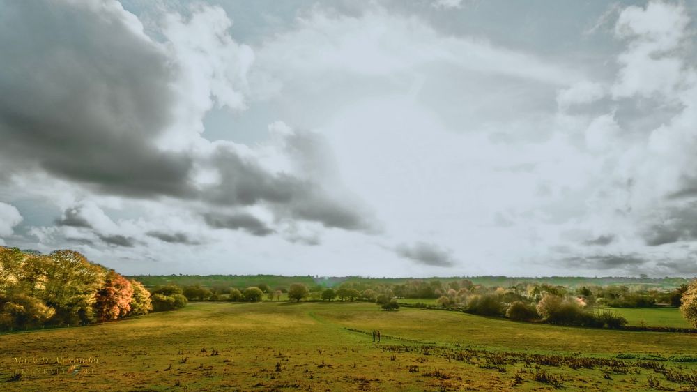 A landscape view looking down over a vale of pastureland, autumn trees on the left, right and on the horizon. Looking directly at the sun, the sky is white with fluffy greyish clouds. The sun catching the the trees making them appear to shine. 