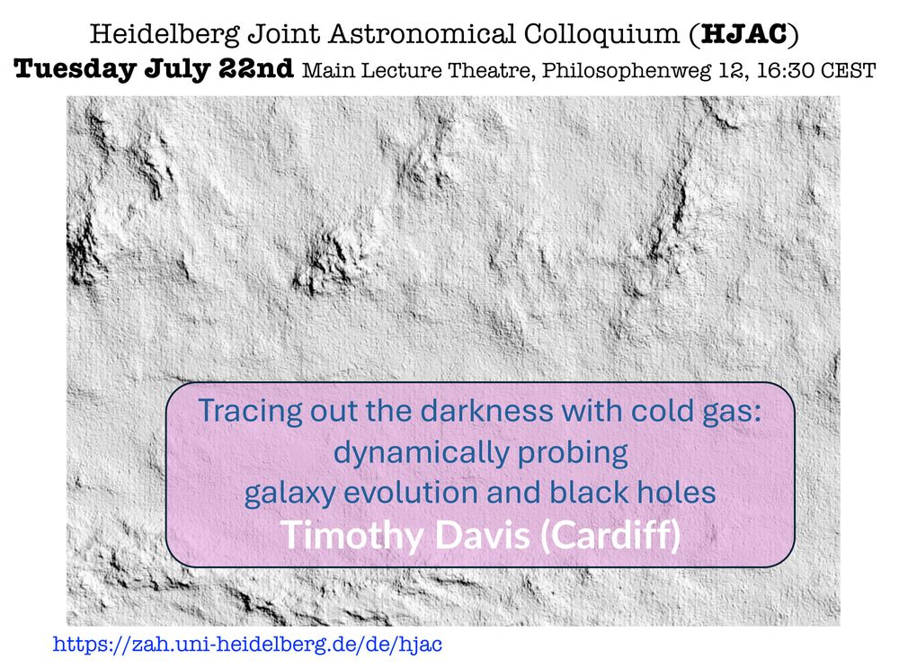 Announcement of the talk "Tracing out the darkness with cold gas: dynamically probing galaxy evolution and black holes" by Timothy Davis on 22 July 2025 at 16:30 CEST at Philosophenweg 12 and online via Zoom, with a grayscale image of a rough surface