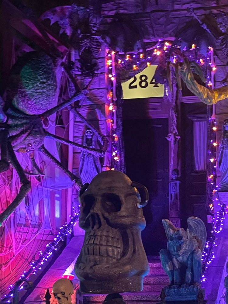 another freaky giant spider! 