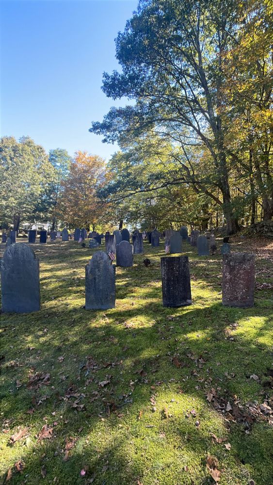 old cemetery in the sunshine 