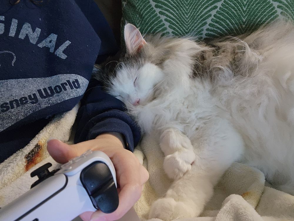 Panda the cat sleeping and resting his head on Katie's arm as she holds a PS5 controller 