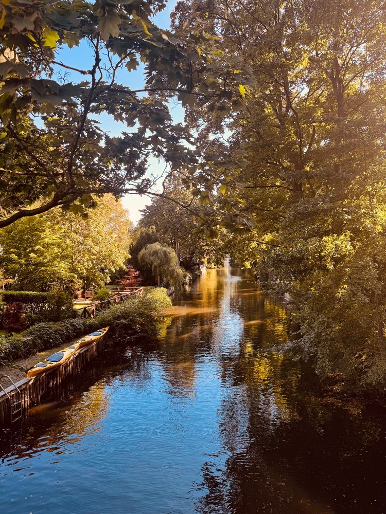 Ein ruhiger Alsterkanal, von Bäumen und dichtem Grün gesäumt, spiegelt den blauen Himmel und die Sonne wider. Links am Ufer liegen mehrere gelbe Kajaks nebeneinander. Ein hölzerner Steg und ein kleiner Gartenbereich mit Bänken sind zu sehen. Im Hintergrund fließt der Fluss weiter unter einem Dach aus Blätterkronen. (BiBesch: KI)