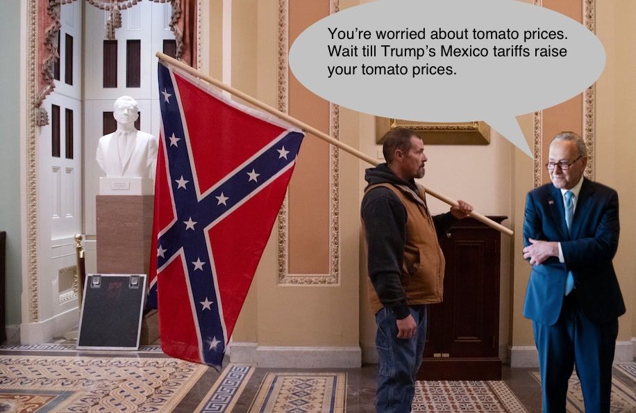 A January 6 insurrectionist in a hallway of Congress, holding a confederate flag. Chuck Schumer has been pasted into the photo in front of the insurrectionist. A Schumer speech bubble contains the contents of his BlueSky post above.