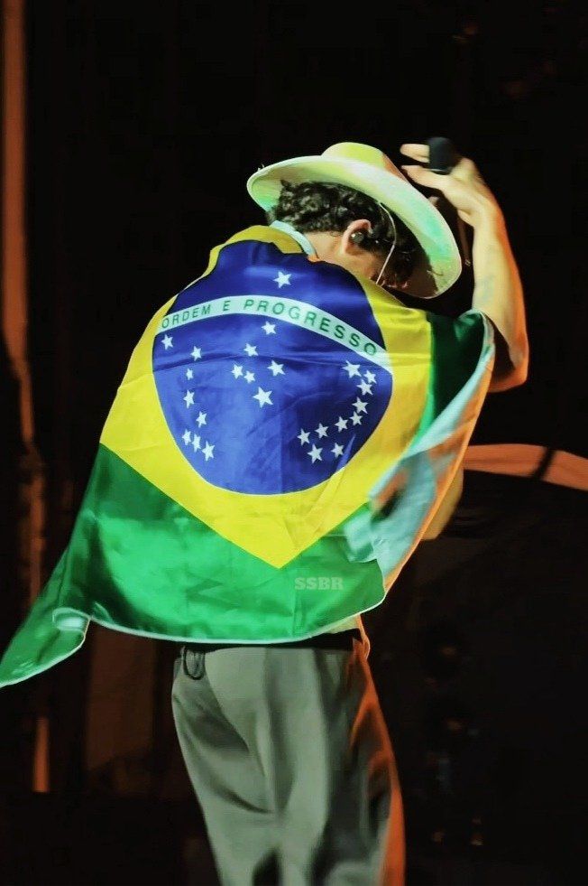 Shawn Mendes #LollaBR 🇧🇷