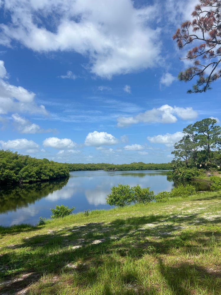 Photo of a glassy river bordered by green vegetation, reflecting a blue sky dotted with puffy white clouds. 