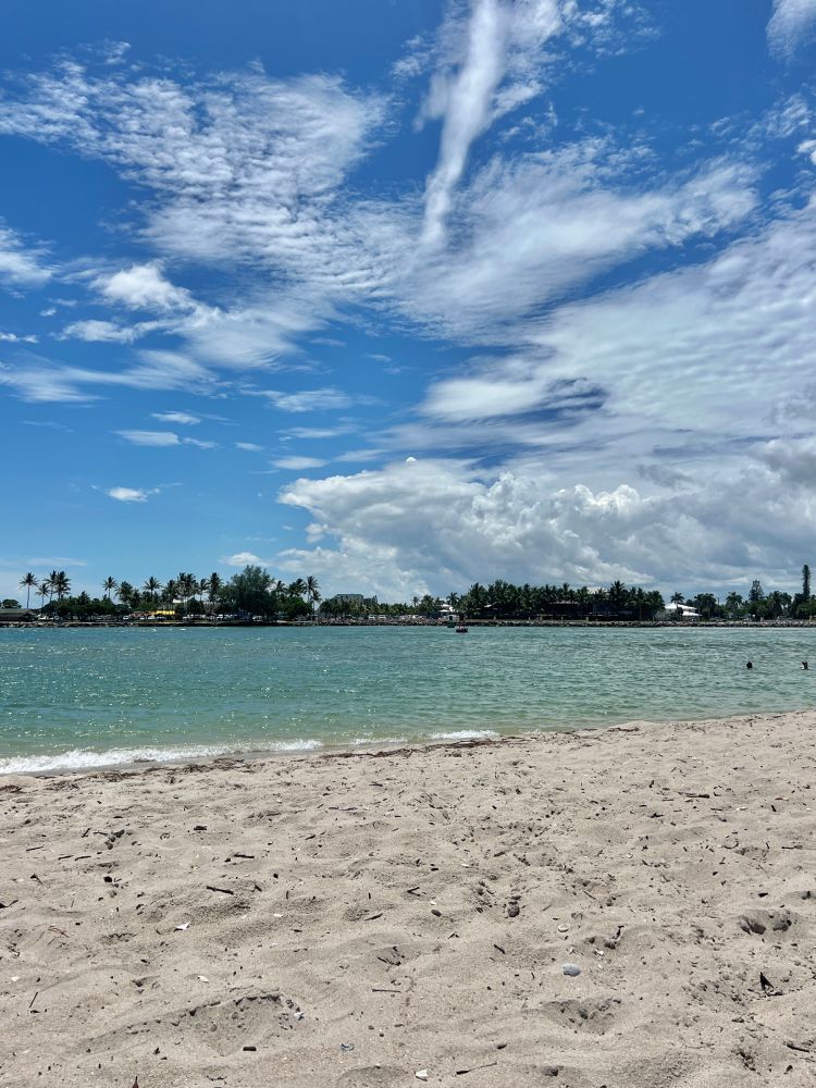Photo of a sandy beach with land across the water. The sand is lightly littered with shells and small plant debris, and the turquoise water has a gently textured surface. The strip of land across the inlet has scattered palm trees on the left side, some cars and buildings visible, and some denser vegetation. The sky is blue and peppered with several types of clouds. 