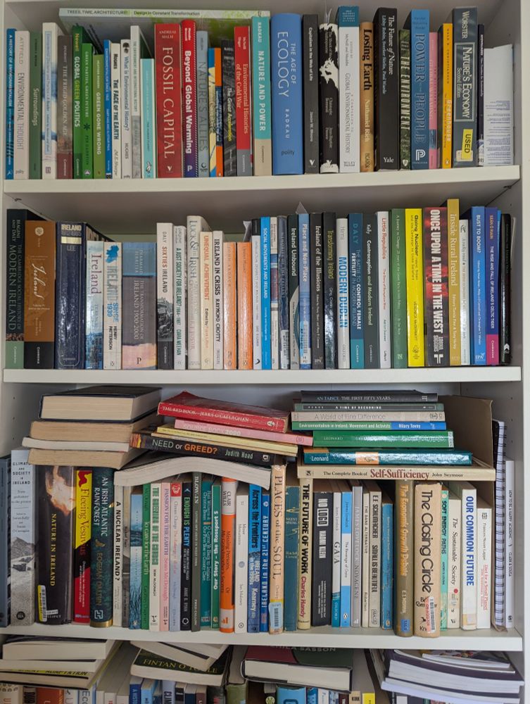 Photograph of a stressed looking set of bookshelves.