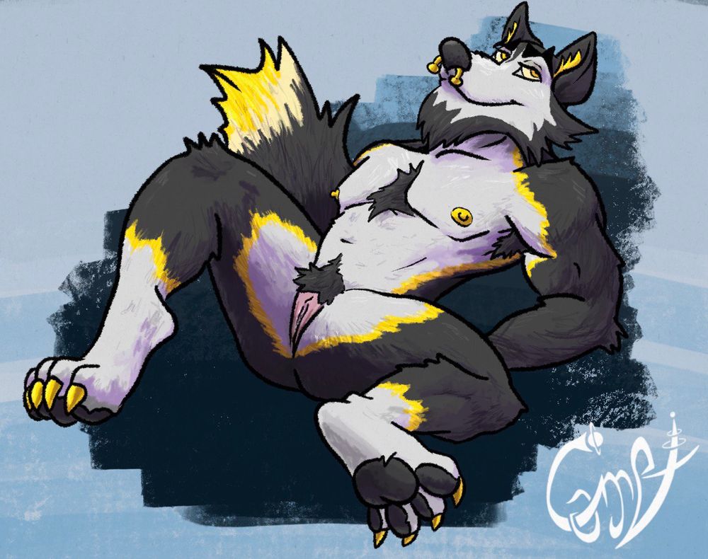 A masculine muscular black and white husky furry with bright yellow aspects spreading his legs showing off his neovagina. 