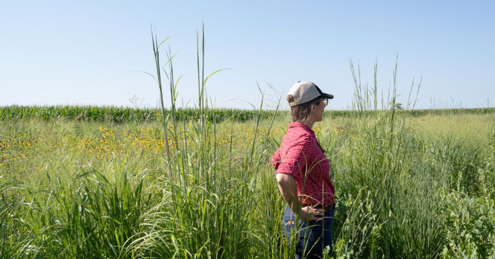 Hidden in Midwestern Cornfields, Tiny Edens Bloom