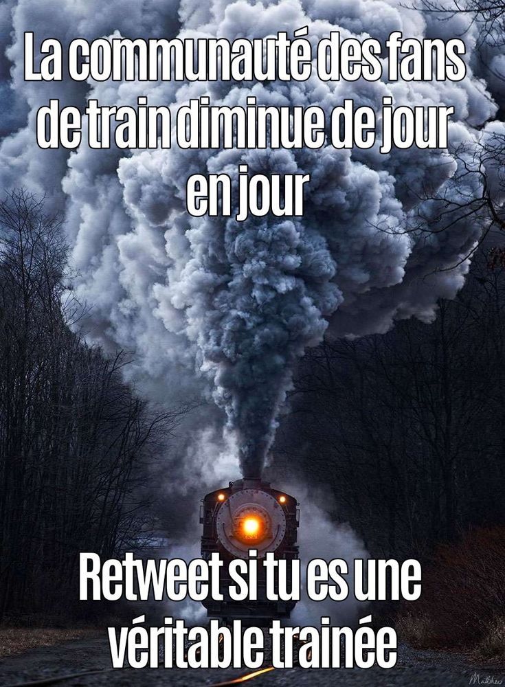 Photo d'un train de face avec comme sous titre "La communauté des fans de train diminue de jour en jour" "Repost si tu es une véritable trainée"