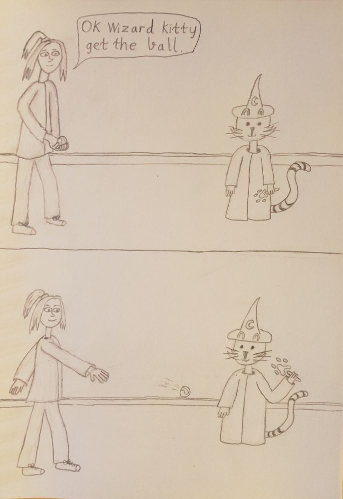 frame 1 the human is holding a ball and says ok wizard kitty get the ball
frame 2 the human throws the ball and wizard kitty raises his wand