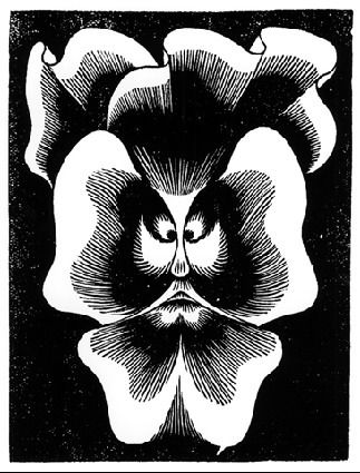 Flor de Pascua - La Pensee