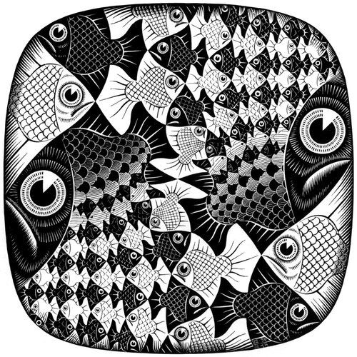 Fishes and Scales