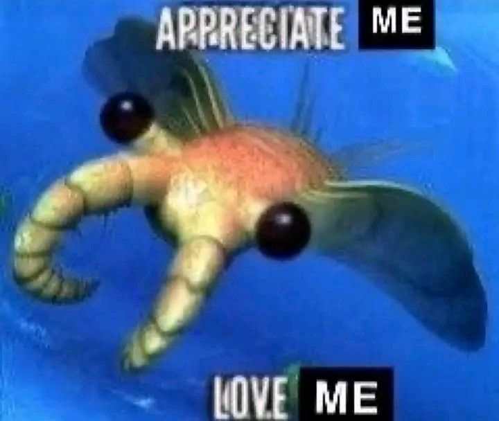an image of an anomalcaris with the caption reading:

 "APPRECIATE ME

LOVE ME"