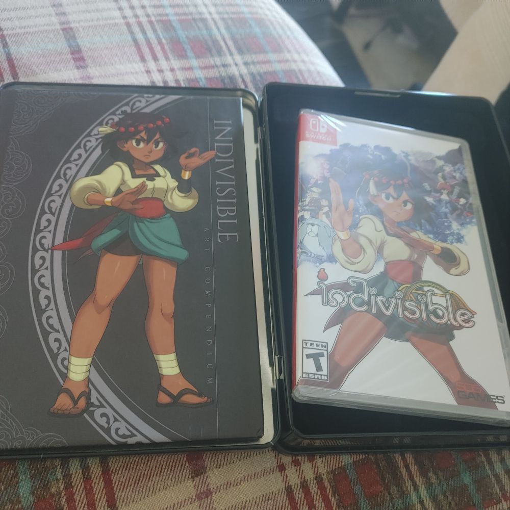 Indivisible Collector's Edition for the Switch