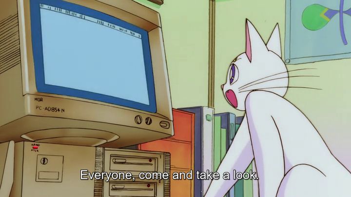 Artemis the cat telling everyone to come look at a computer.