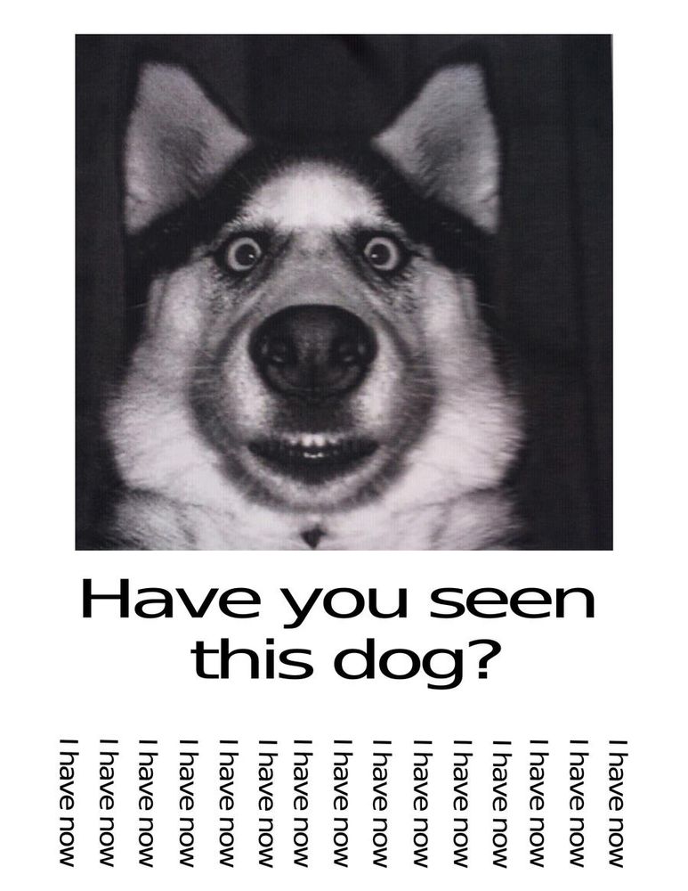 And image of a dog and the title "Heva you seen this dog?"
Below the teardown slips with the text "I have now"

(DanelectroT, DeviantArt)
