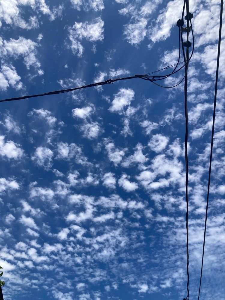 Tiny fluffy white popcorn clouds with streetcar wires on the right.