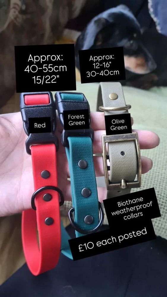 3 biothane collars on hand. One large bright red with black plastic buckle,large forest green with black plastic buckle and one medium olive green with antique brass buckle 