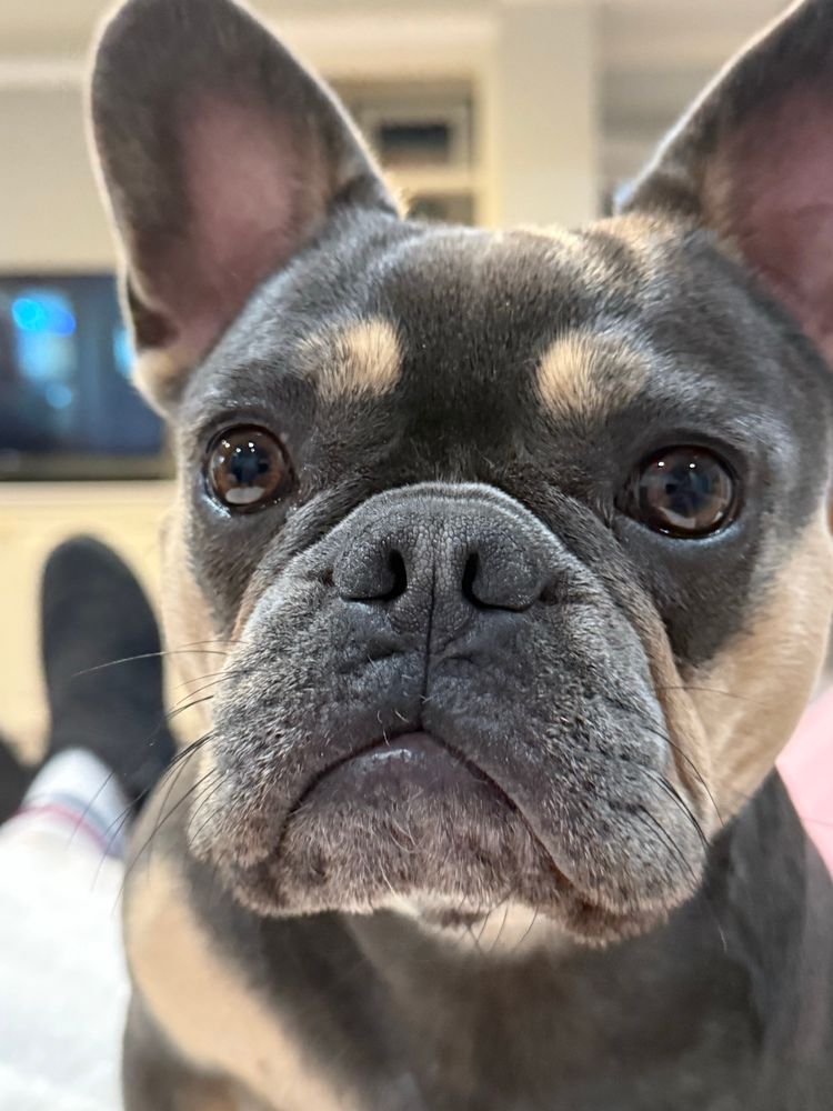 Mabel says, “No Kings! Yes, Queens!”