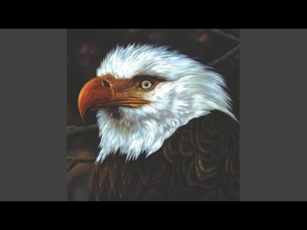 I'm Jim Morrison, I'm Dead