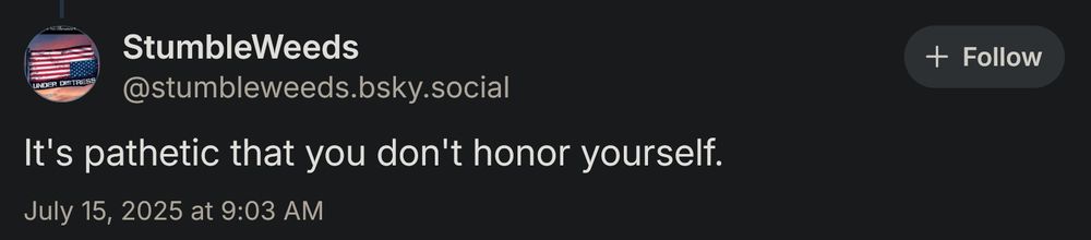 A user named StumbleWeeds saying, "It's pathetic that you don't honor yourself."