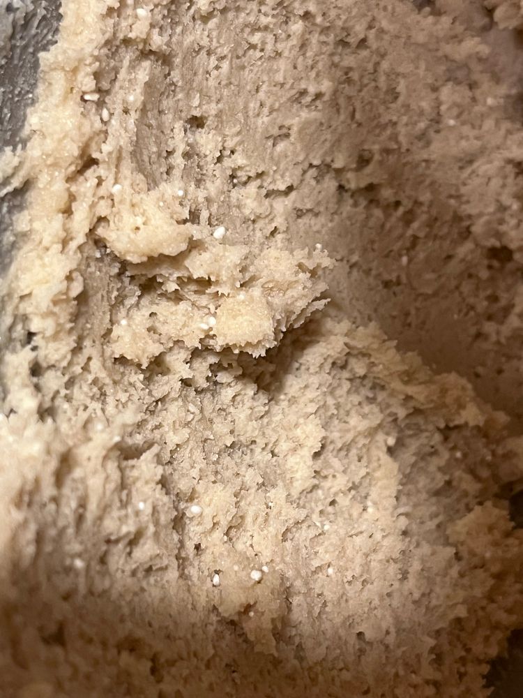 You can see the little dots of flour that didn’t break down enough. Definitely a food processor/coffee mill next time.