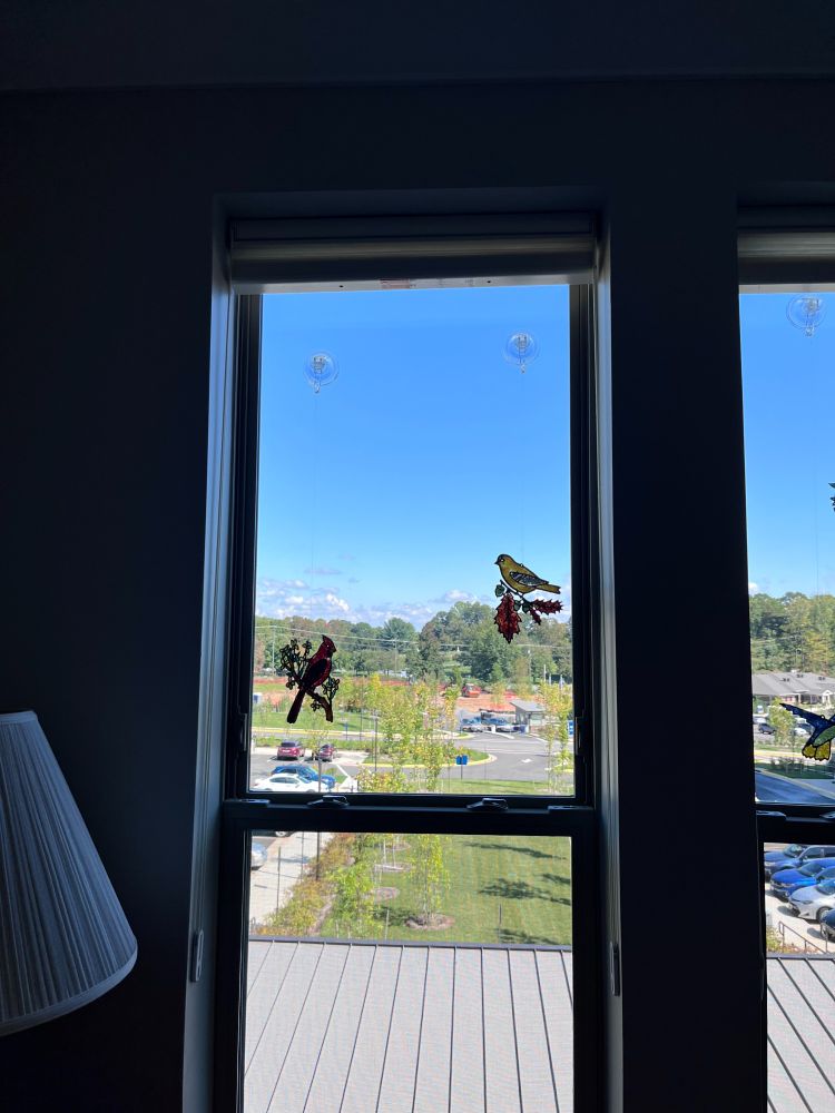 Stained glass birds hanging in a window