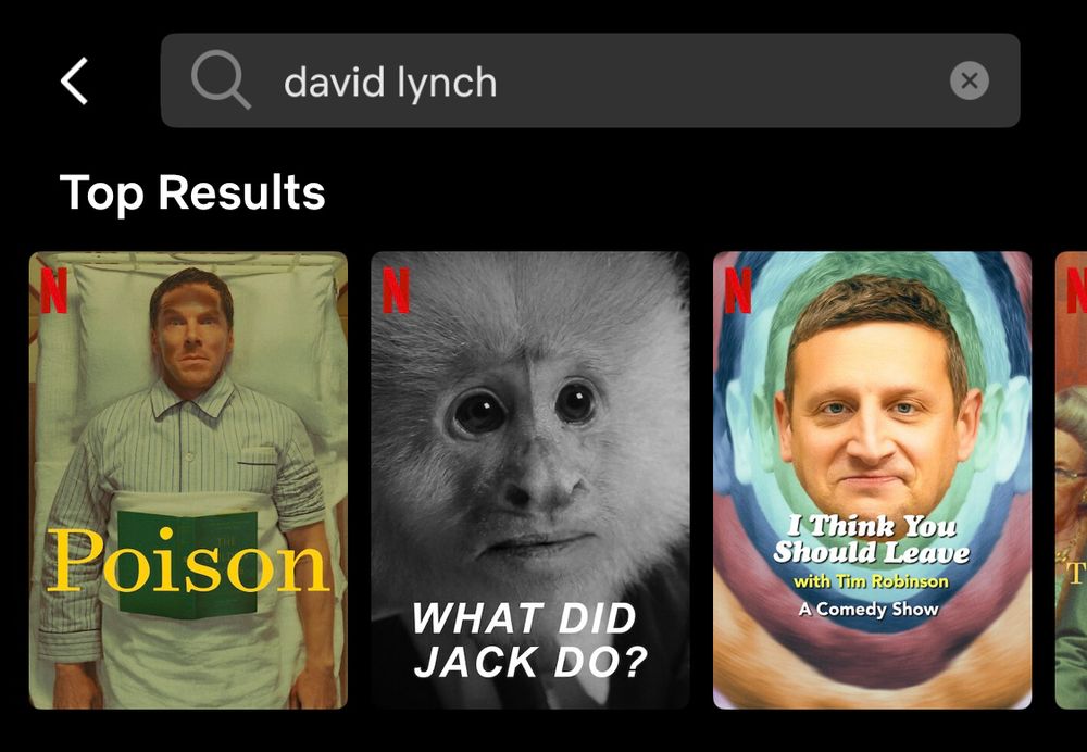 A screenshot of Netflix showing that searching for “David Lynch” brings up POISON (a Wes Anderson short), then WHAT DID JACK DO? (Lynch’s Netflix short), then I THINK YOU SHOULD LEAVE (I suspect that Lynch would have enjoyed the show, but it’s not exactly an accurate search result for the entered query)