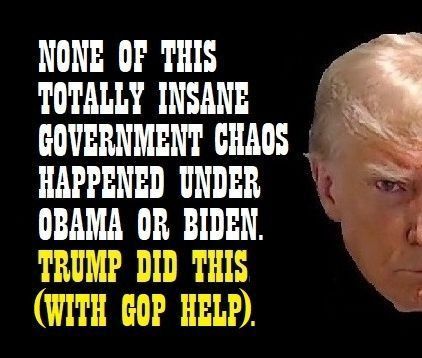 Image of half of Trump's leering face beside large text: "None of this totally insane government chaos happened under Obama or Biden. TRUMP DID THIS (WITH GOP HELP)."