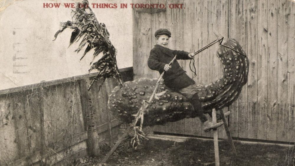How Toronto’s history is being celebrated through vintage postcards