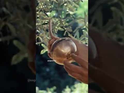 Carl Sagan And The Discovery Of Air