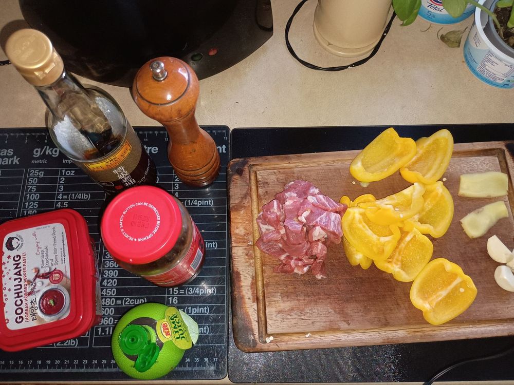 Garlic, ginger (use paste for either if easier), epper colour of choice, meat of choice, dark soy, black pepper, gochujang, black bean sauce/paste, lime juice.