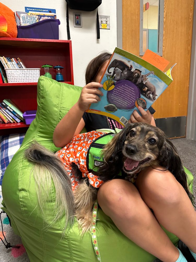 Freddy, a cocker spaniel mix with long brown hair, is wearing orange Halloween pajamas with ghosts on them and a green vest that says “Freddy Pickles, therapy dog.” He’s sitting in the lap of a girl sitting in a green chair while she reads a book to him.