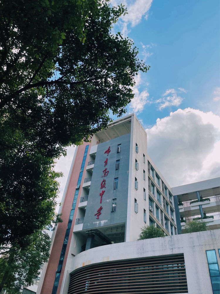 青空と白い雲、緑の木のあいだに校舎がある風景