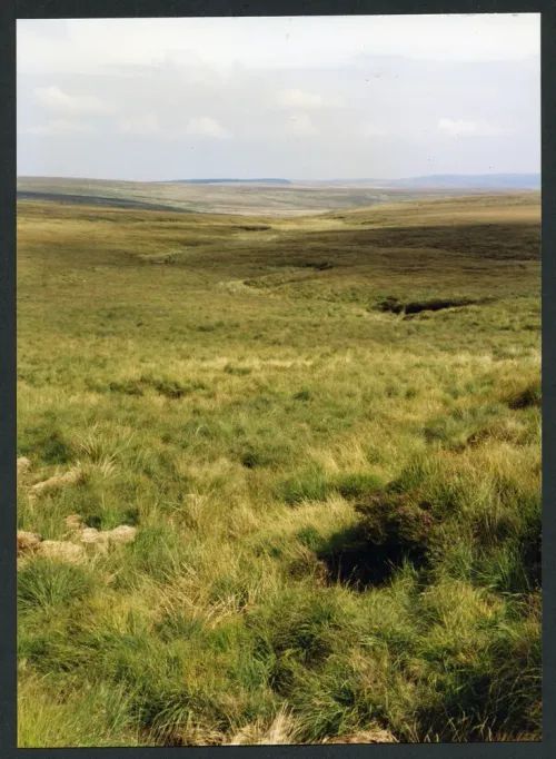Comment image