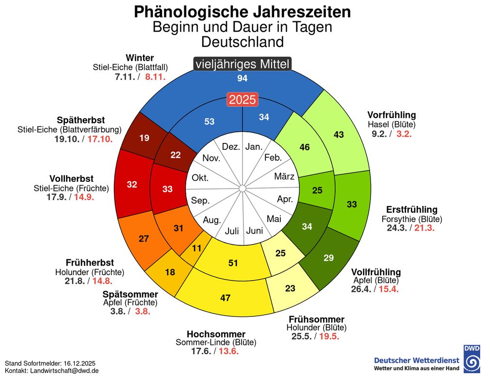 In einem Kreisdiagramm für Deutschland sind innen die 12 Kalendermonate aufgetragen. Darum sind zwei weitere Kreise gelegt, die die Zeitspannen der 10 phänologischen Jahreszeiten anzeigen - ein innerer Kreis für das Jahr 2025 und ein äußerer Kreis für das vieljährige Mittel seit 1992. Die Entwicklung ist bis zum 16. Dezember 2025 dargestellt. Es ist zu sehen, dass das Einsetzen des phänologischen Winters nahezu im vieljährigen Mittel lag. Die Meldungen stammen von den ehrenamtlichen phänologischen Beobachtern des Deutschen Wetterdienstes. Quelle: Deutscher Wetterdienst