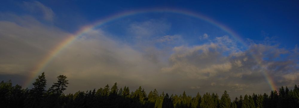 Die aufgehende Sonne scheint in einen heranziehenden Schauer und bildet einen vollständigen Regenbogen. Im oberen Teil des Bildes ist noch blauer Himmel zu sehen, was einen schönen Kontrast zum darunterliegenden Fichtenwald bringt.