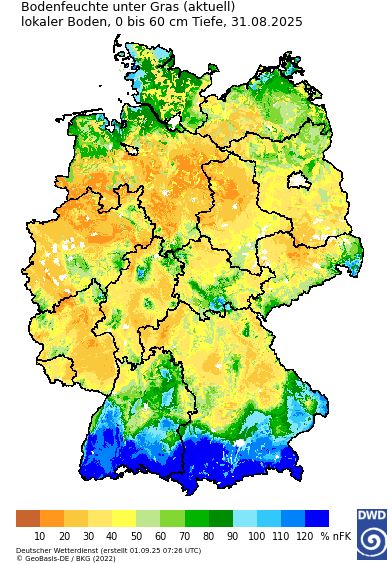 Eine Deutschlandkarte zeigt die Bodenfeuchte des lokalen Bodens unter Gras in der Schicht 0 bis 60 Zentimeter am 31. August 2025. Quelle: Bodenfeuchteviewer des DWD: www.dwd.de/bodenfeuchteviewer.