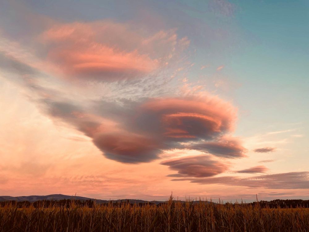 Foto mehrerer Lenticularis-Wolken bei Sonnenaufgang nahe Wernigerode am 01.09.2025.