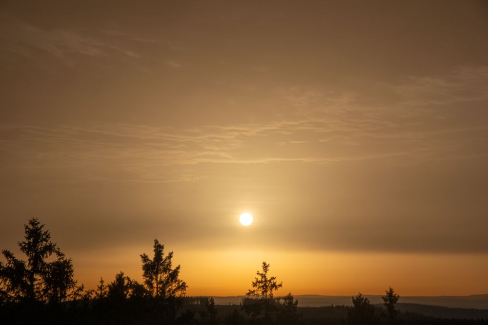 Sonnenaufgang über einem bewaldeten Hügel, Bäume im Vordergrund, Himmel in orange-braunen Tönen.