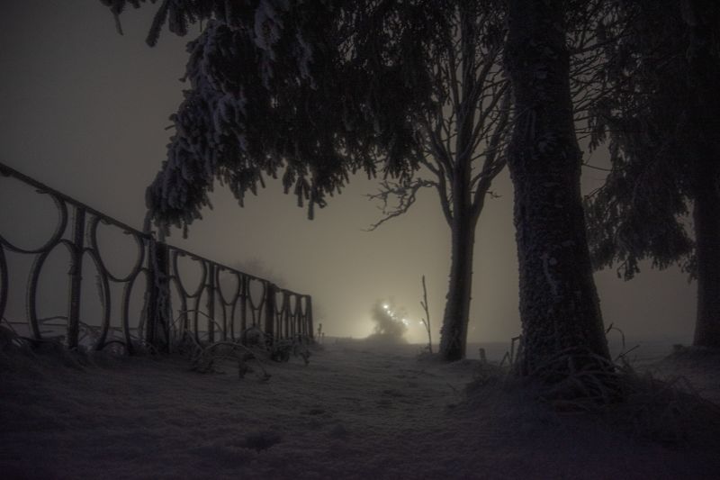 Verschneite Landschaft in morgendlicher Dunkelheit mit Nebel, beleuchtete Bäume im Hintergrund. Ein Zaun führt links durch das Bild.