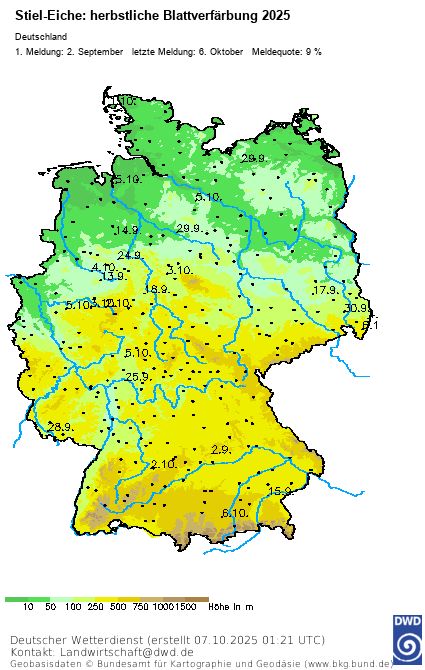 In einer Deutschlandkarte sind die Orte mit einem Datum versehen, an denen zum Zeitpunkt des 7. Oktober 2025 bereits die herbstliche Blattverfärbung der Stiel-Eiche beobachtet wurde. Dies betrifft vereinzelte Orte vor allem im Nordwesten mit Meldeterminen ab September. Die Meldungen stammen von den ehrenamtlichen phänologischen Beobachtern des Deutschen Wetterdienstes. Quelle: Deutscher Wetterdienst