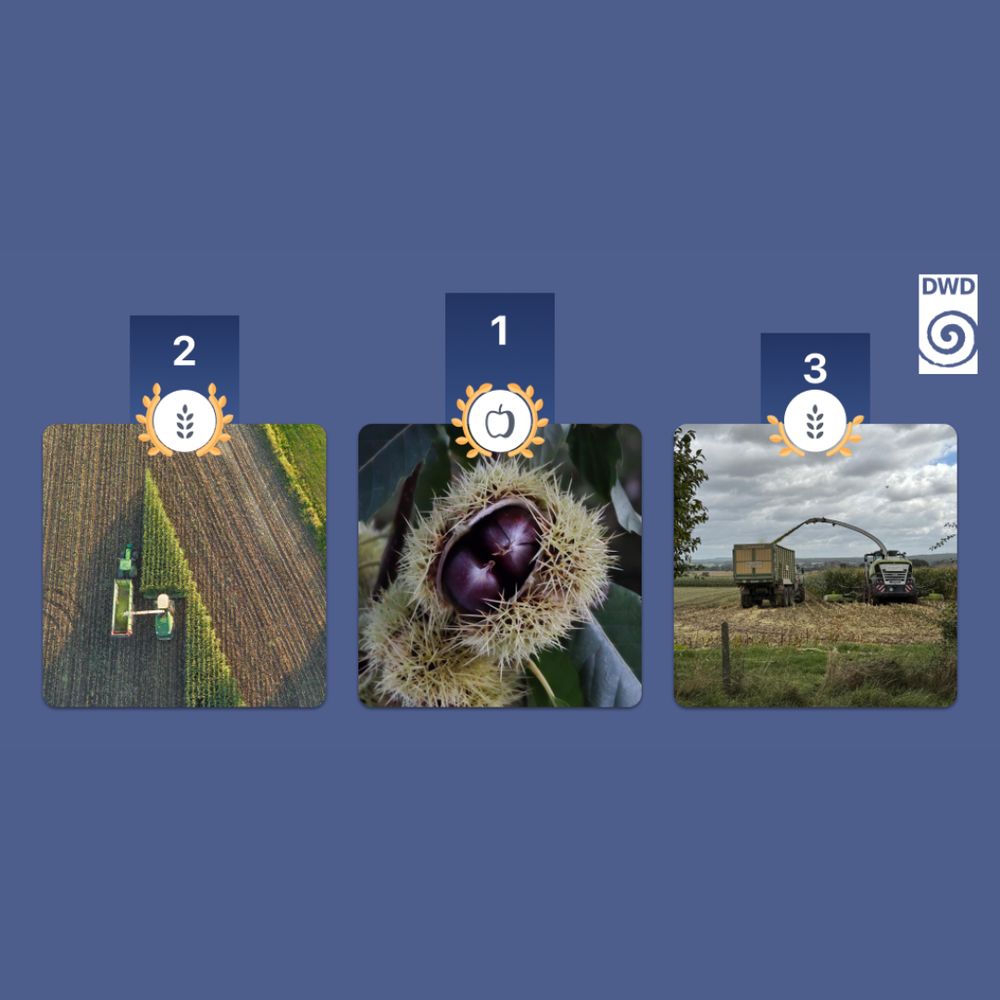 Collage mit drei Bildern, die in der DWD-WarnWetter-App im Herbst 2025 besonders hilfreich bewertet wurden: in der Mitte eine Kastanie in ihrer Hülle (Platz 1), links ein Traktor auf einem Feld (Platz 2), rechts eine Erntemaschine (Platz 3).