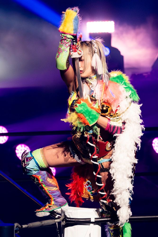joshi wrestler Unagi Sayaka, who is banned from STARDOM

she is posing on the turnbuckle with a sword

gyan
