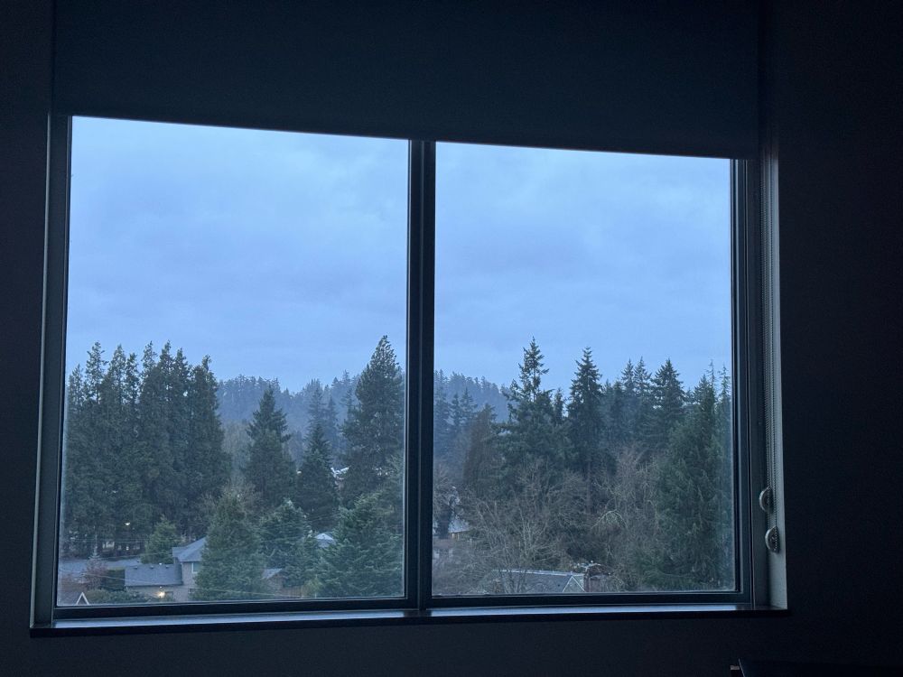 A photograph. The outside view from Asher’s current hotel room. A cloudy, but blue sky. A lot of trees. Some homes. The view is bisected by two window panes.