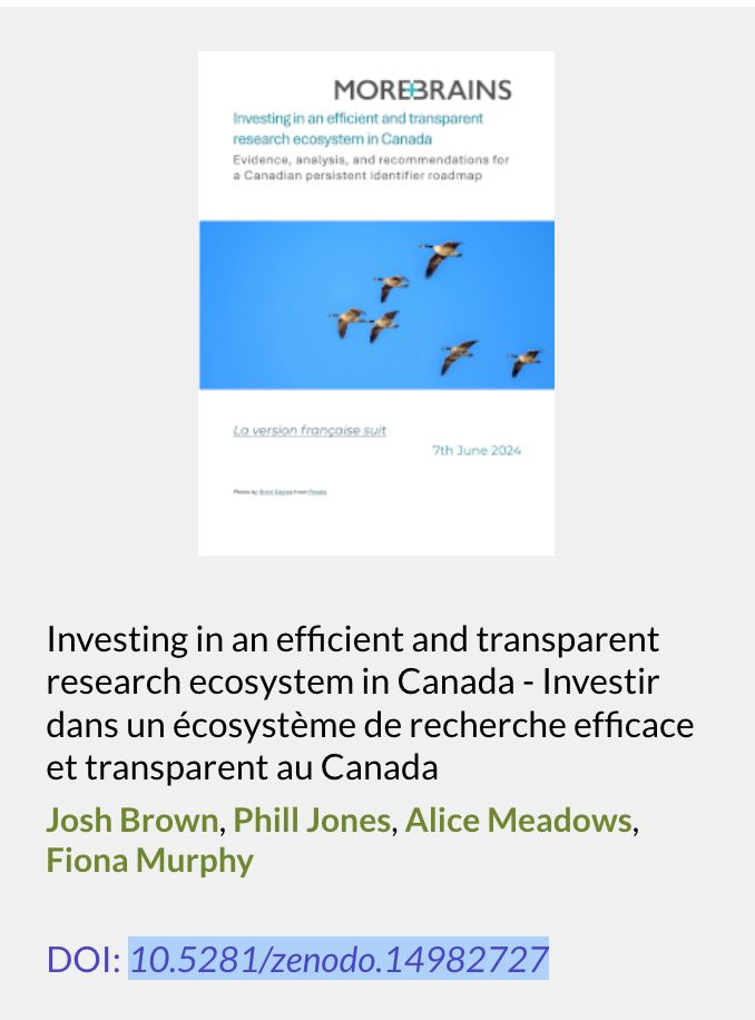 screenshot from MoreBrains Cooperative repository of their report on Investing in an efficient and transparent research ecosystem in Canada
