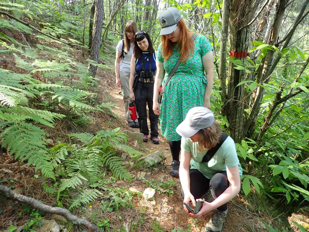 A group of people walking along a path in a forest. A woman is crouching down to take a photo of a plant with her mobile phone.