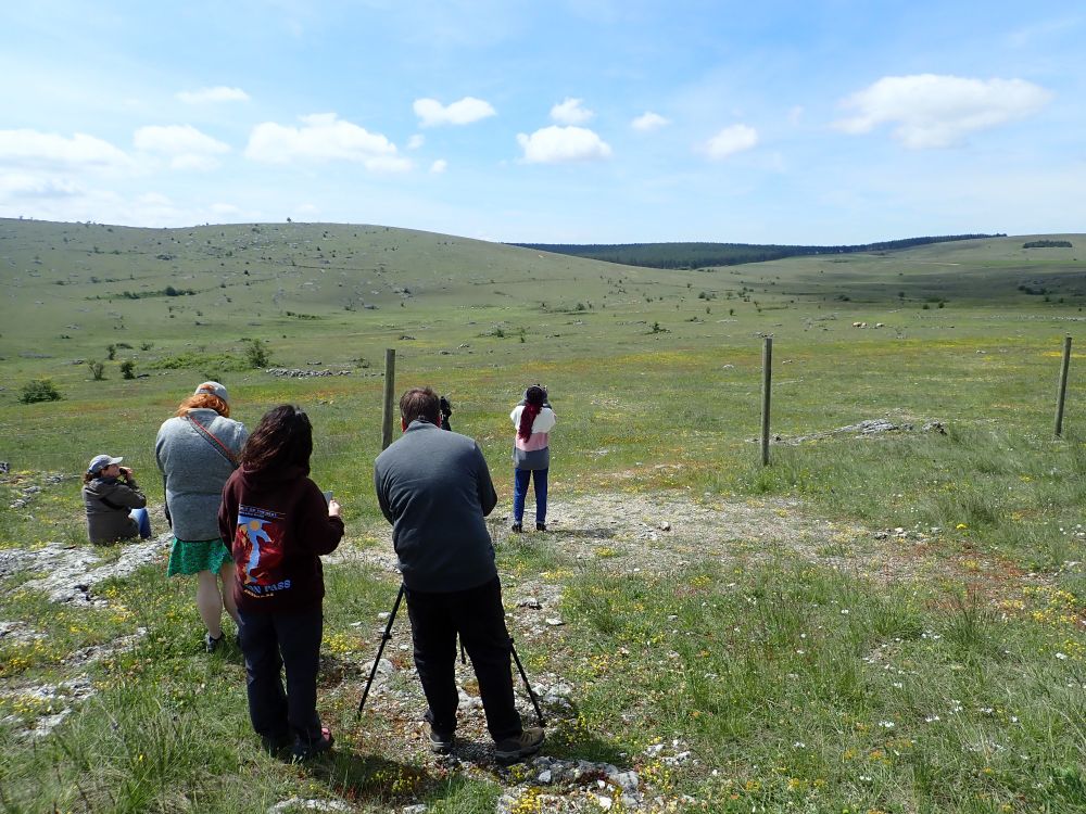 A group of students looking through telescopes and binoculars at rolling green hills.