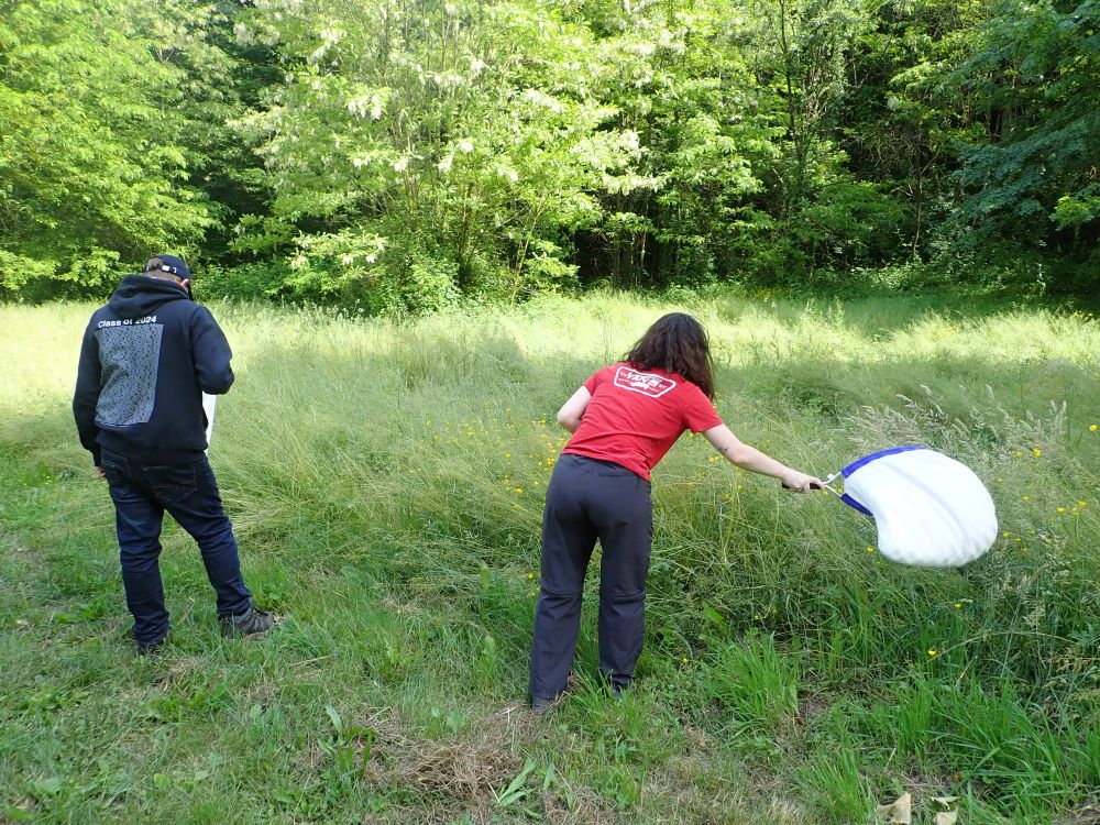 Two students approaching a meadow with sweep nets. One is in the process of sweeping her net down into the meadow grasses.